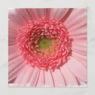 Pastel Pink Daisy Invitations