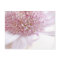Pastel Pink Flower