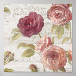 Pastel Pink French Roses Poster
