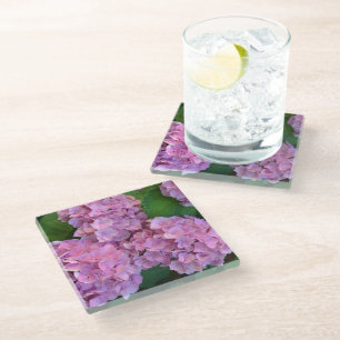 Pastel pink Hortensia hydrangea bloom Glass Coaster