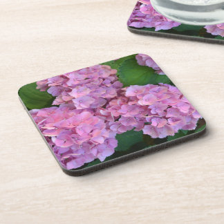 Pastel pink Hortensia hydrangea flowers    Coaster
