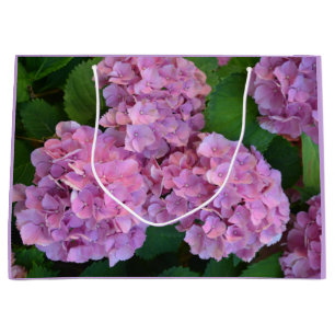 Pastel pink Hortensia hydrangea flowers   Large Gift Bag