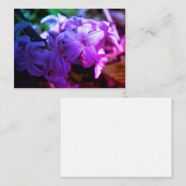 Pastel Pink Hyacinth (Hyacinthus) Flower Enclosure Card (Front/Back)