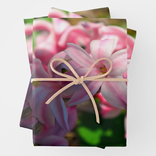 Pastel Pink Hyacinth (Hyacinthus) Flower Wrapping Paper Sheet (In situ)