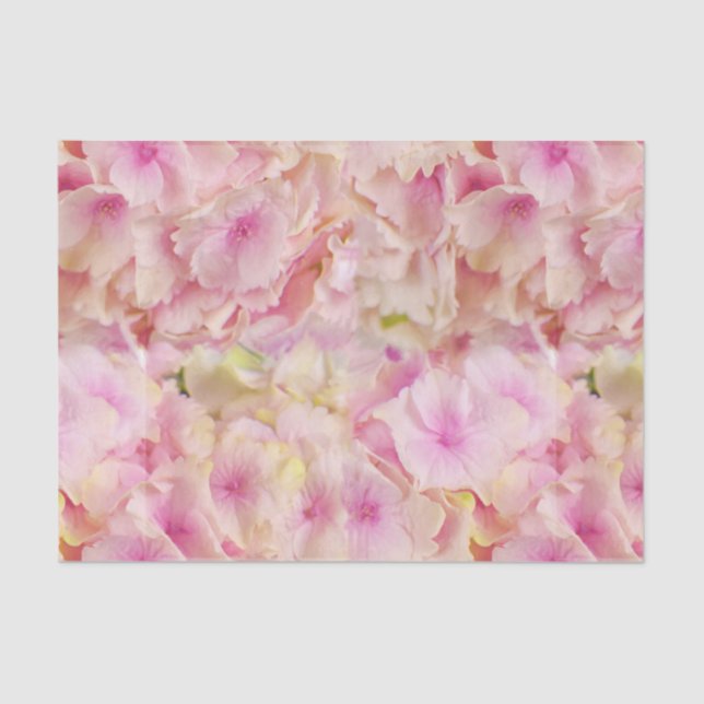 Pastel Pink Hydrangeas Tissue Paper (Front)