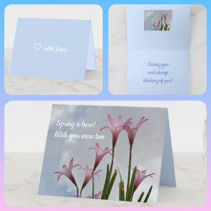 Pastel Pink Rain Lilies Springtime Floral Card