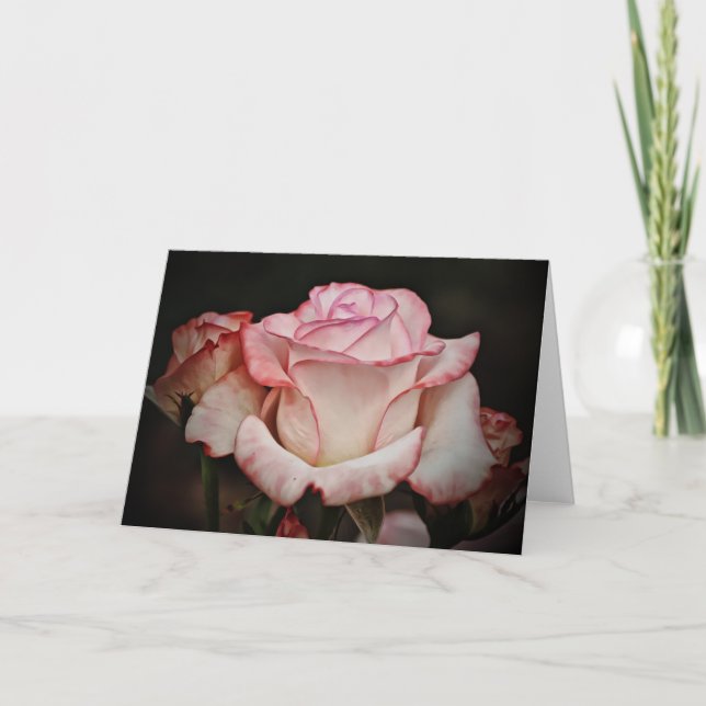 Pastel Pink Rose Note Card (Front)