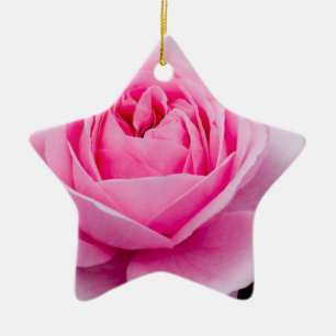 Pastel Pink Rose Ornament