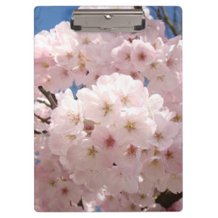 Pastel Pink Tree Blossoms clipboards Custom Office