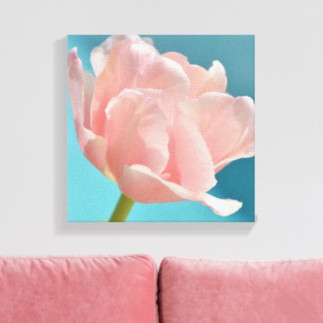 Pastel Pink Tulip Floral Botanical Photographic  Canvas Print (Creator Uploaded)