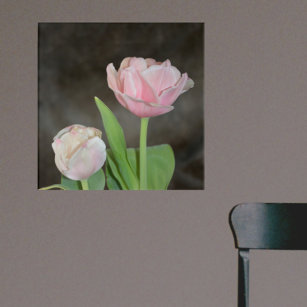 Pastel Pink Tulips Floral Botanical Photographic A Acrylic Print