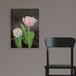 Pastel Pink Tulips Floral Botanical Photographic Acrylic Print