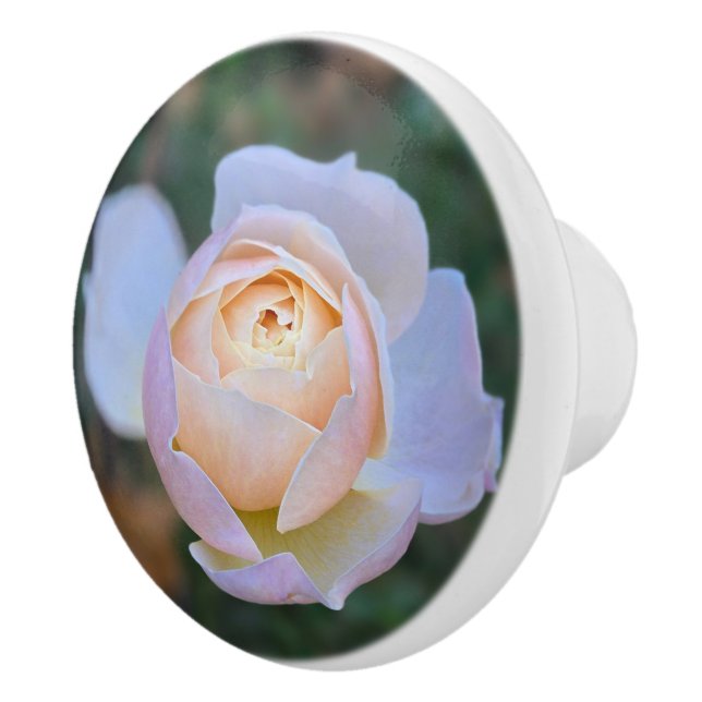 Pastel Pink Yellow Rose Ceramic Knob (Right)