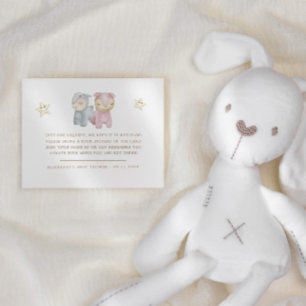 Pastel Plush Toys Baby Shower  Enclosure Card
