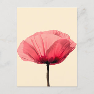 Pastel Poppy Bloom Minimalism Holiday Postcard