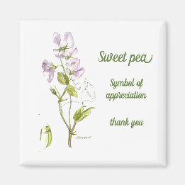 Pastel purple and green watercolor sweet pea magnet