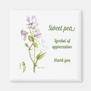 Pastel purple and green watercolor sweet pea magnet
