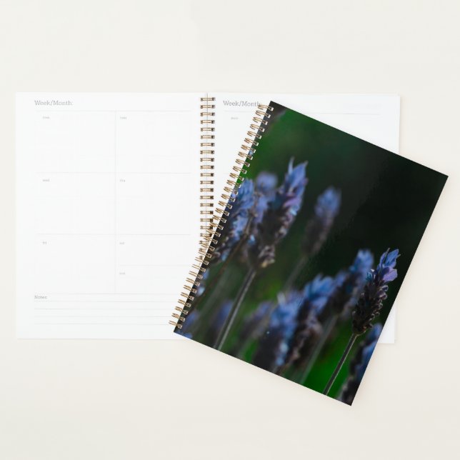 Pastel Purple Blue Lavender Flowers Planner (Display)