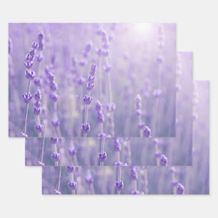 Pastel Purple Lavender Flowers Wrapping Paper Sheet