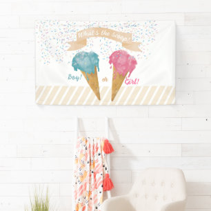 Pastel Retro Ice Cream Gender Reveal Party  Banner