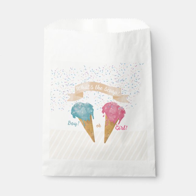 Pastel Retro Ice Cream Gender Reveal Party   Favour Bags (Front)