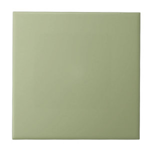Pastel Sage Green Solid Colour Pairs To SW 6430 Tile