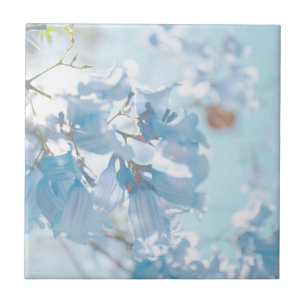 Pastel Soft Blue Jacaranda Tree Flowers Blossoms Tile