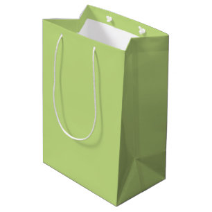 Pastel Spring Green Accent Decor to Customise Medium Gift Bag