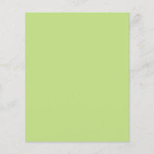 Pastel Spring Green Colour Ready to Customise Flyer