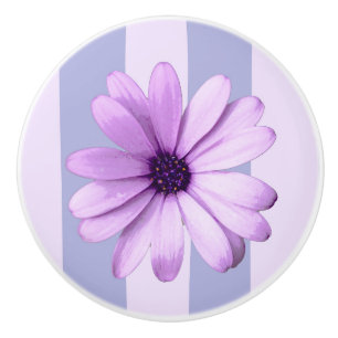 Pastel stripes pattern with Daisies Ceramic Knob