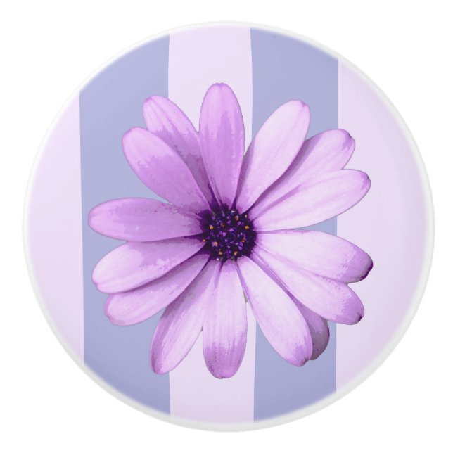 Pastel stripes pattern with Daisies Ceramic Knob (Front)