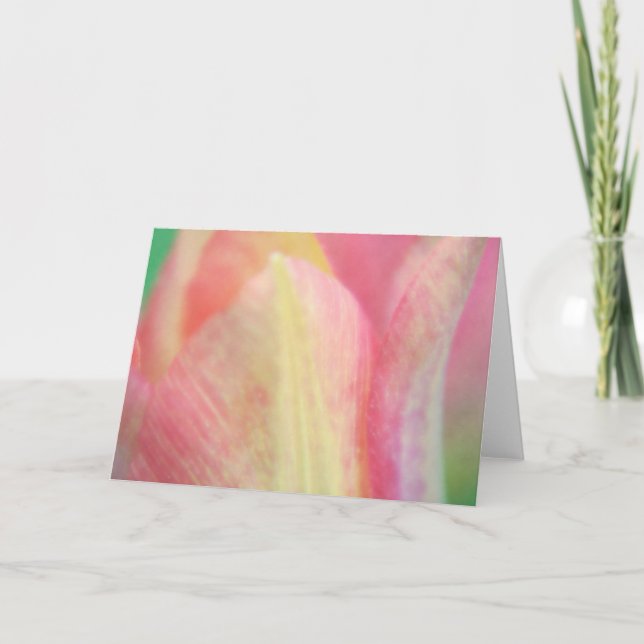 Pastel Tulip Close Up Art Note Card (Front)
