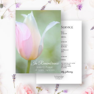 Pastel Tulip Spring Funeral Memorial Service Programme