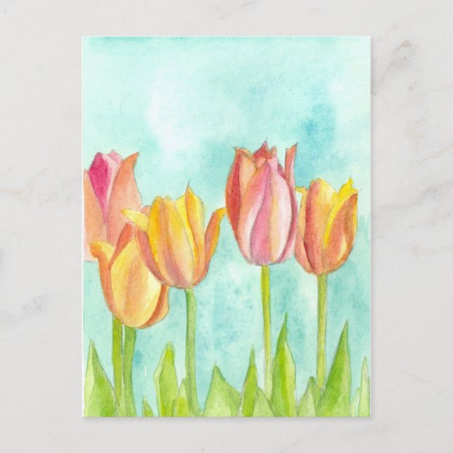 Pastel Tulip Watercolor Flowers Soft Pink Postcard (Front)