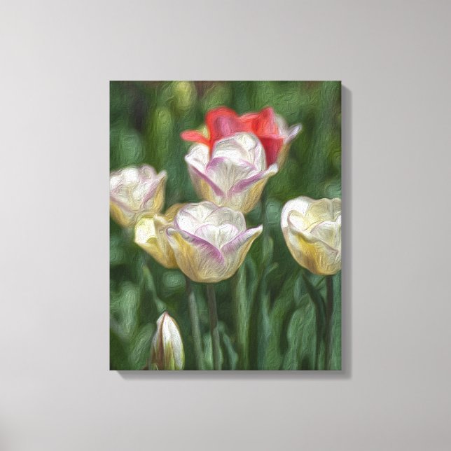 Pastel Tulips Canvas Print (Front)