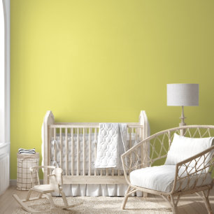 Pastel Yellow Solid Simple One Colour Minimal Wallpaper