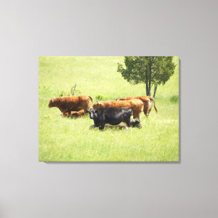 Pastoral Canvas Print