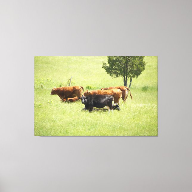 Pastoral Canvas Print (Front)