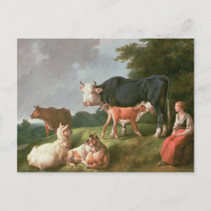 Pastoral Scene Postcard