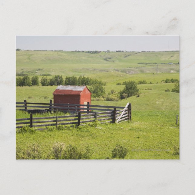 Pasture Fields With A Red Shack And A Fenced Area Postcard (Front)