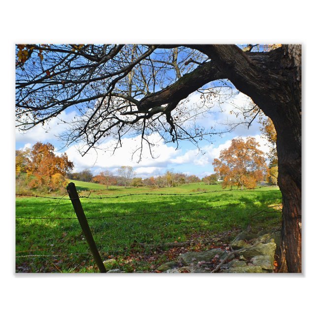Pasture in Autumn Photo Print (Front)