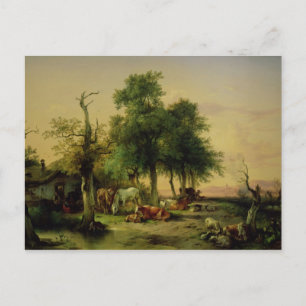 Pasture land postcard