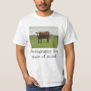Pasture Mood – Cow Photo T-Shirt