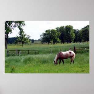 pasture poster