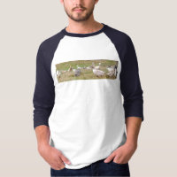 Pasture-raised ducks 