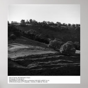 Pasture Scene by Ansel Adams Poster