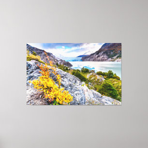 Patagonia Canvas Print