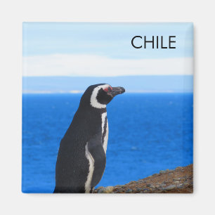 Patagonia Chile Penguin Magnet