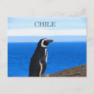 Patagonia Chile Postcard