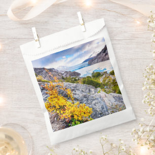 Patagonia Favour Bags